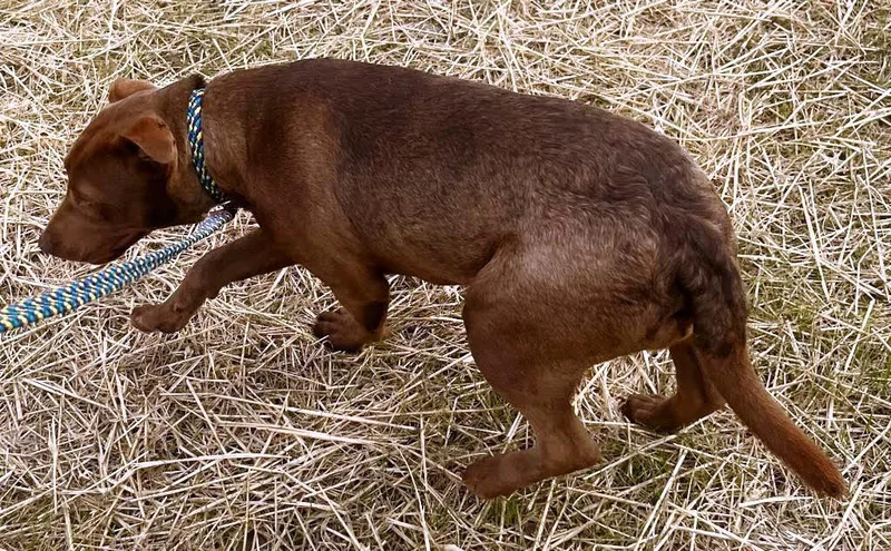 Corduroy  This Is thumbnail 2