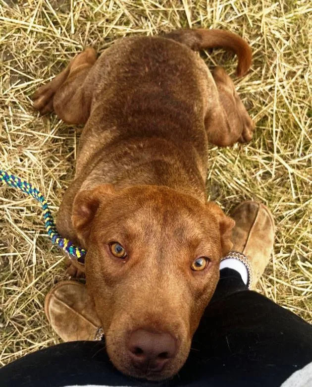 Corduroy  This Is thumbnail 3