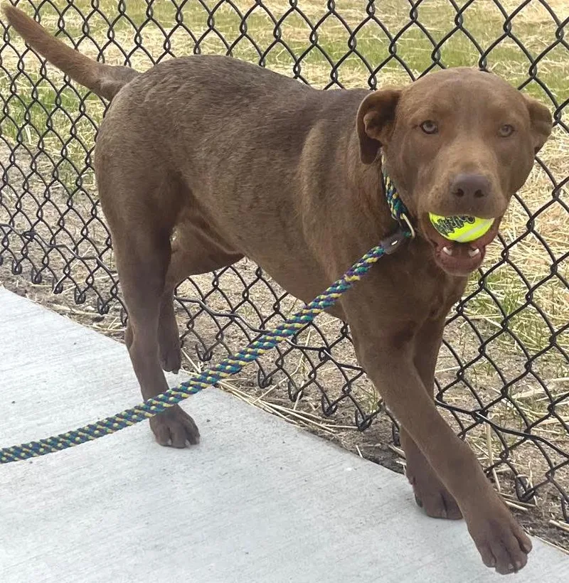 Corduroy  This Is thumbnail 4