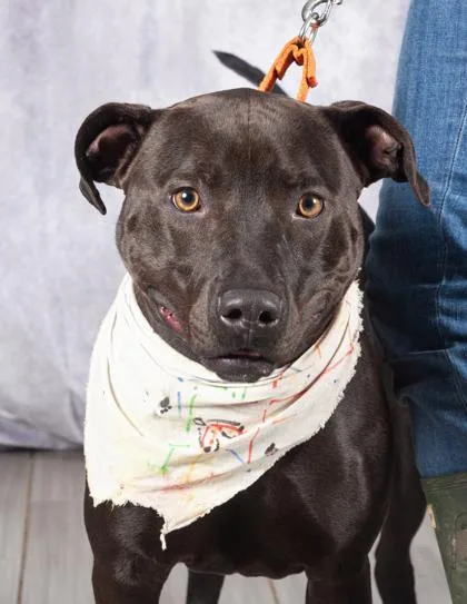 Kauai Fka Kawaii thumbnail 2