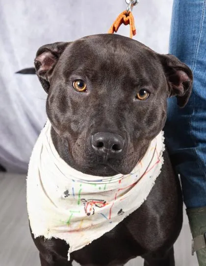 Kauai Fka Kawaii thumbnail 3