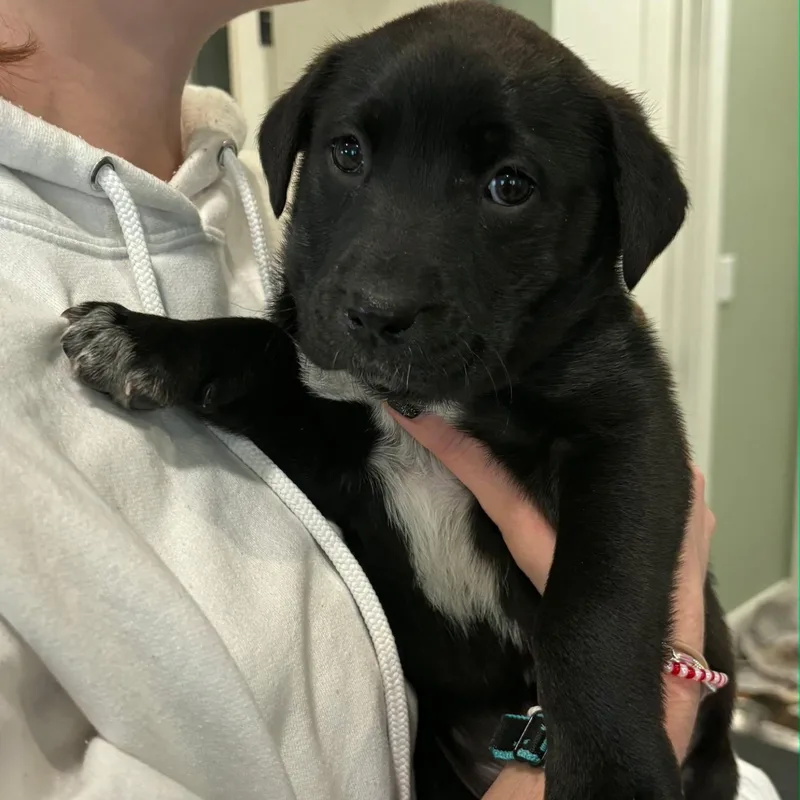 Frodo Arriving In photo 1