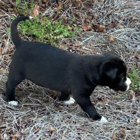 Sam  Arriving In thumbnail 2