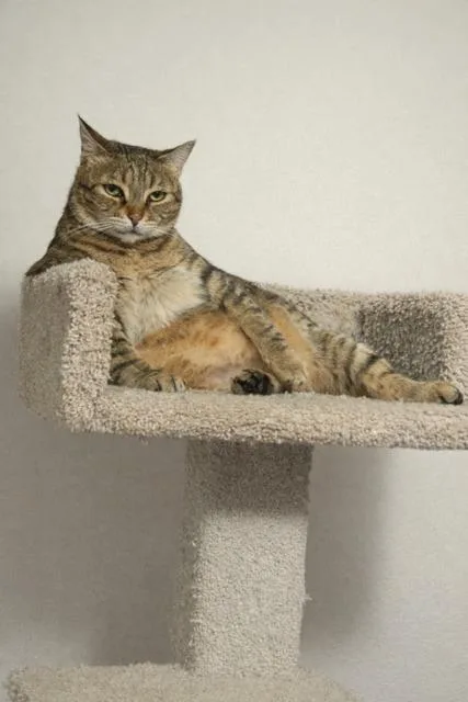 Cj & Winston  thumbnail 2