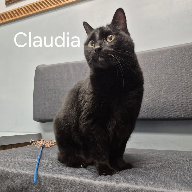 Claudia