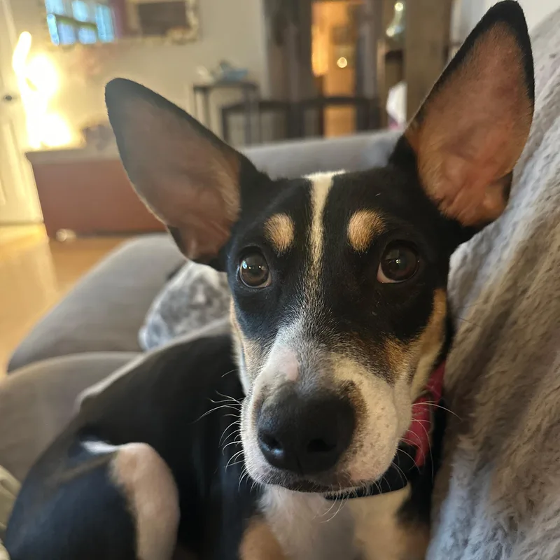 Precious thumbnail 2