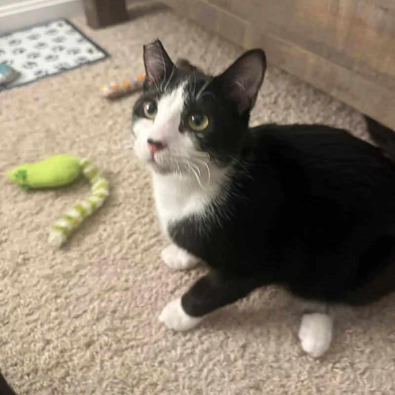 Henrietta & Jr thumbnail 2