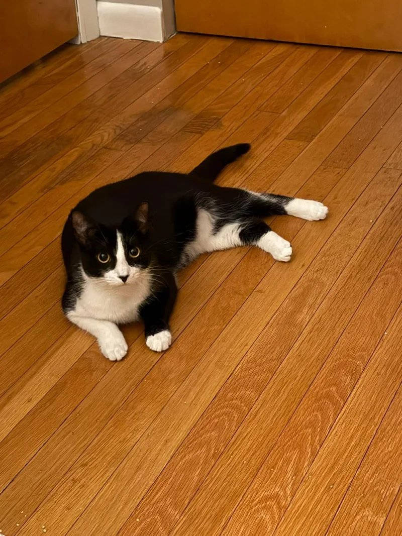 Henrietta & Jr thumbnail 3