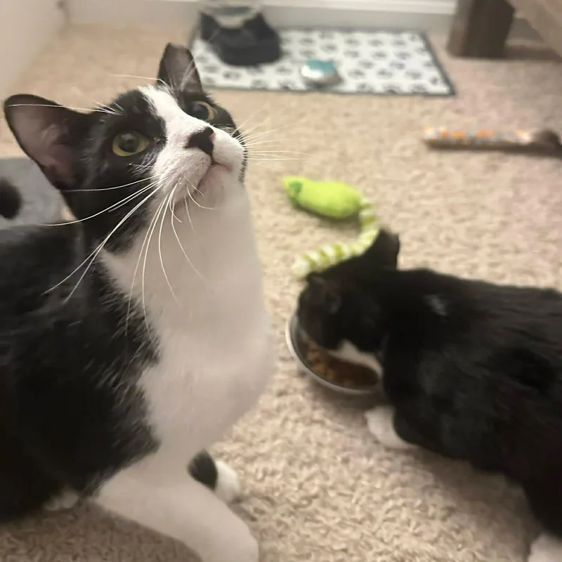 Henrietta & Jr thumbnail 6