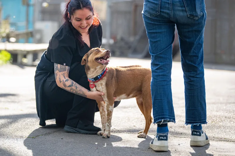 Maple Donut thumbnail 2