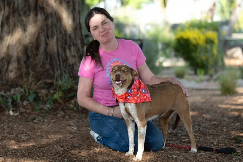 Maple Donut thumbnail 3