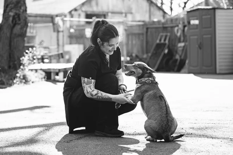 Maple Donut thumbnail 4