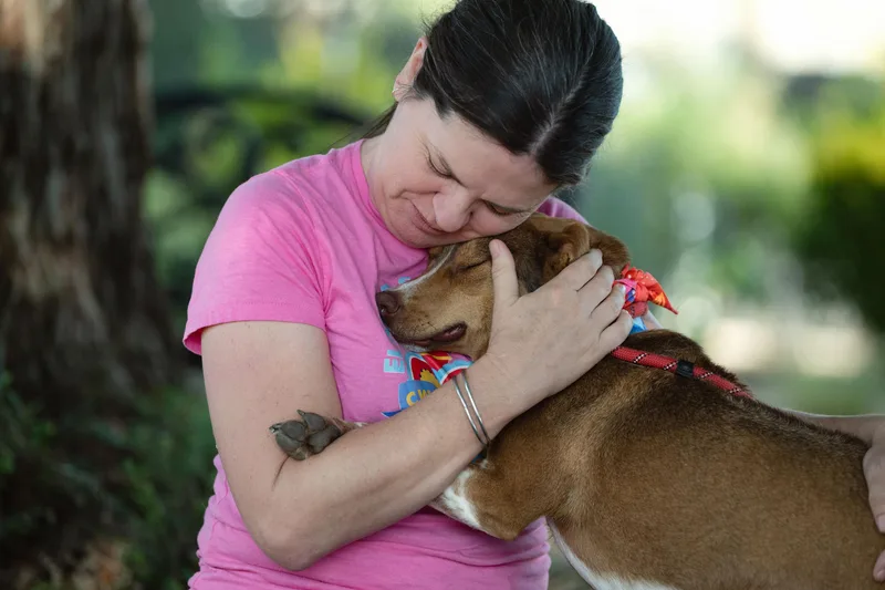 Maple Donut thumbnail 5