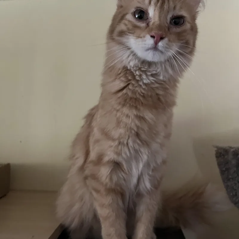 Sassparilla Aka Sassy thumbnail 2