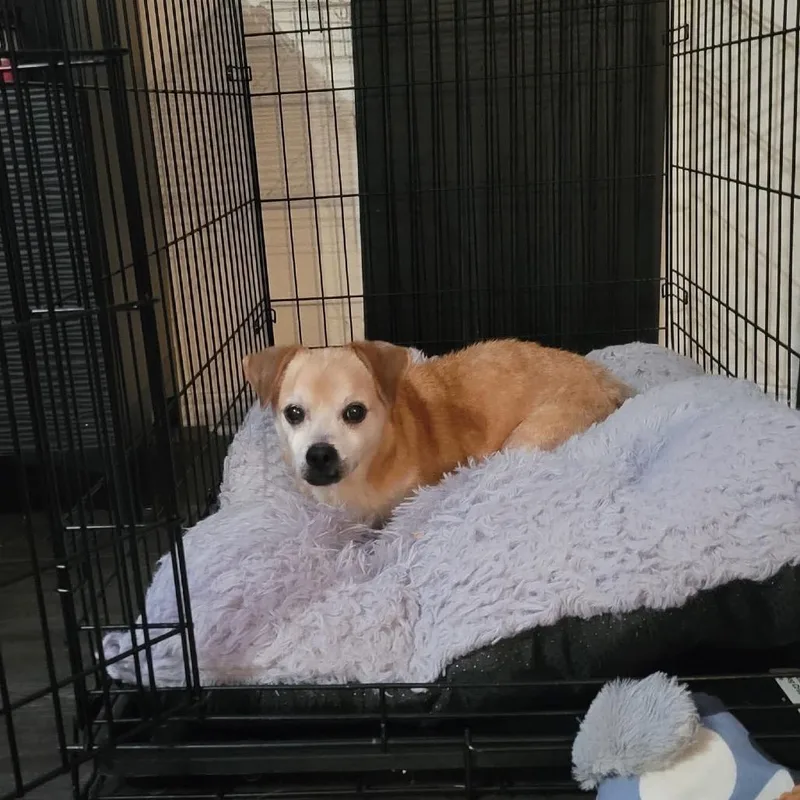 Prescott thumbnail 2