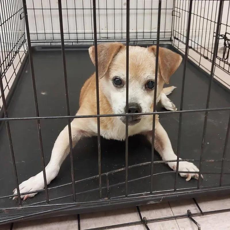 Prescott thumbnail 5