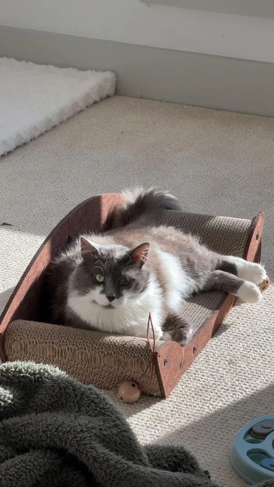 Smokey Gilbert thumbnail 2