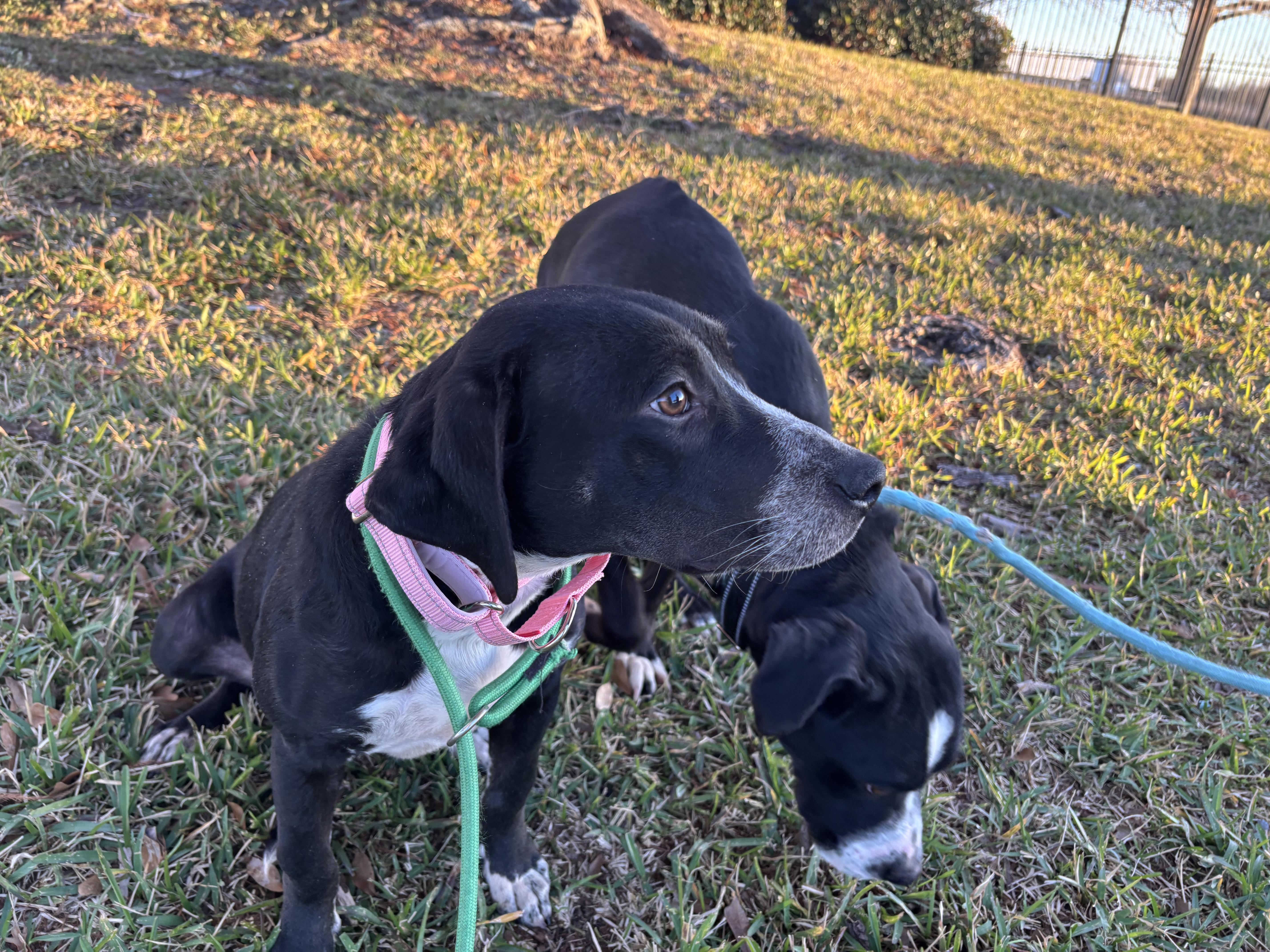 Felicity thumbnail 3