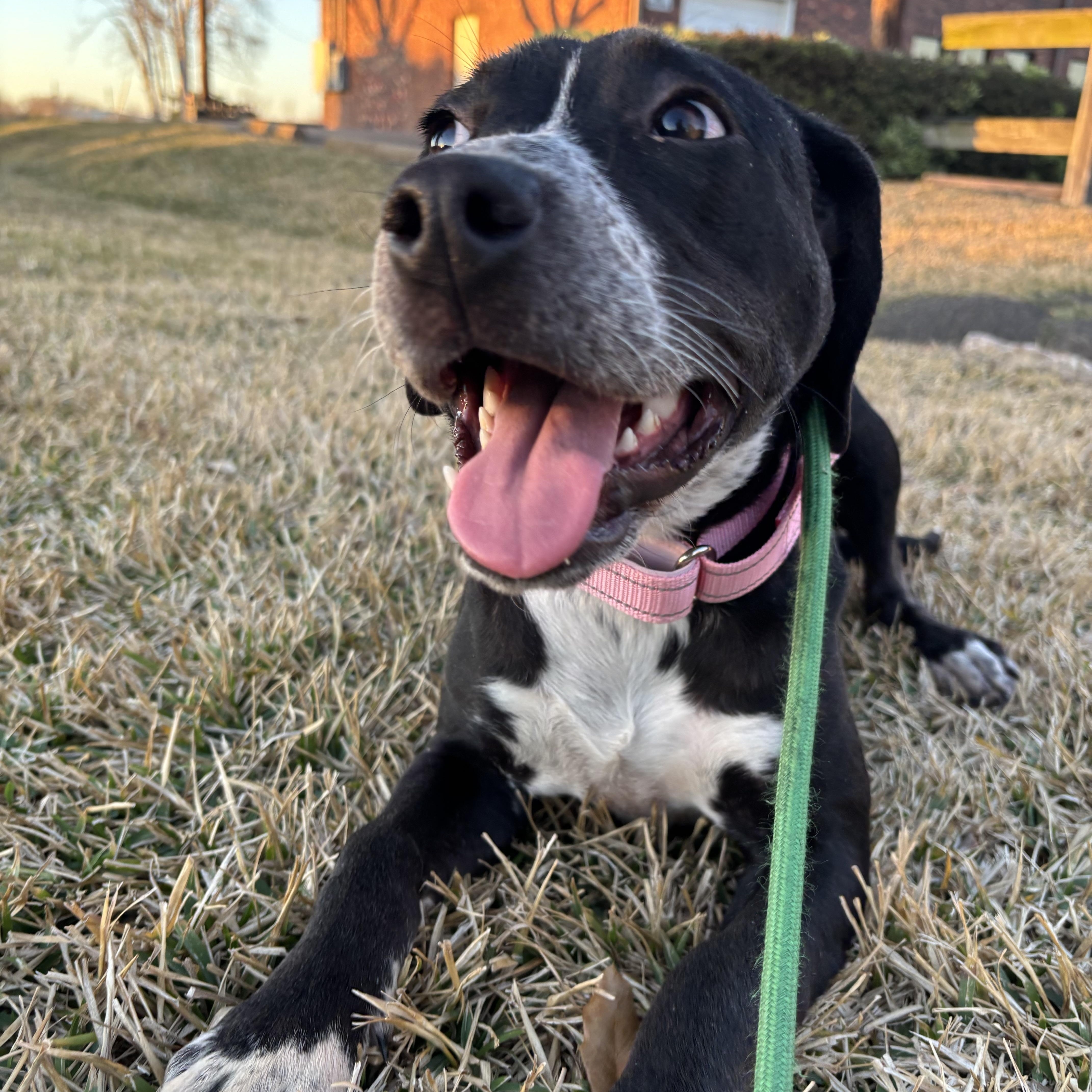 Felicity thumbnail 4