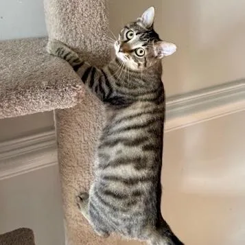 Myrtle Mae thumbnail 2