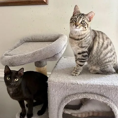 Myrtle Mae thumbnail 3