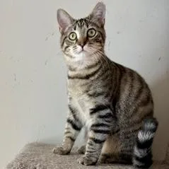 Myrtle Mae thumbnail 4