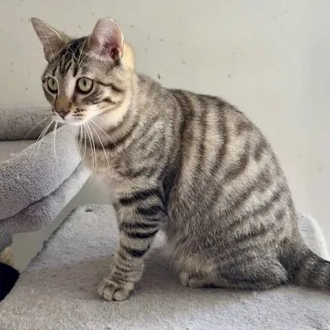 Myrtle Mae thumbnail 5