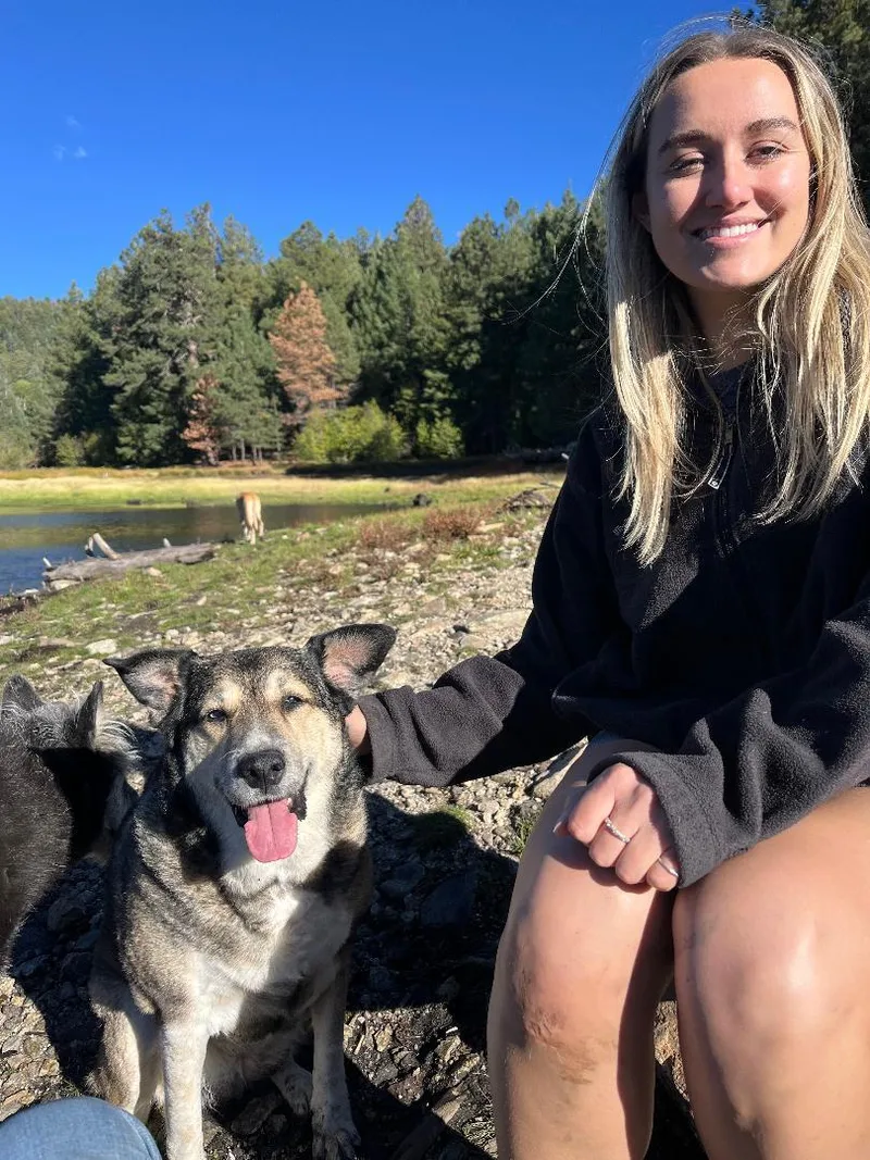 An adult large-sized female Yellow / Tan / Blond / Fawn German Shepherd Dog dog named Bailey for adoption in Pearce, AZ