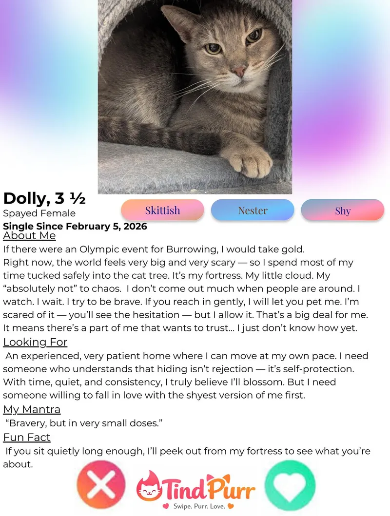 Dolly thumbnail 2