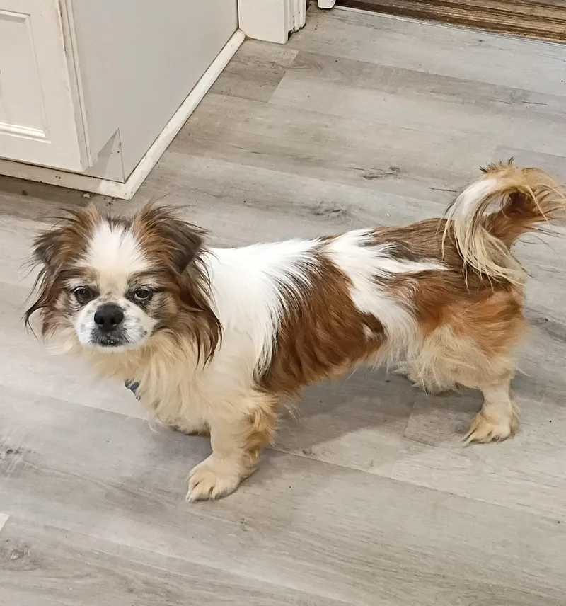 Rory  Super Snuggly! thumbnail 2