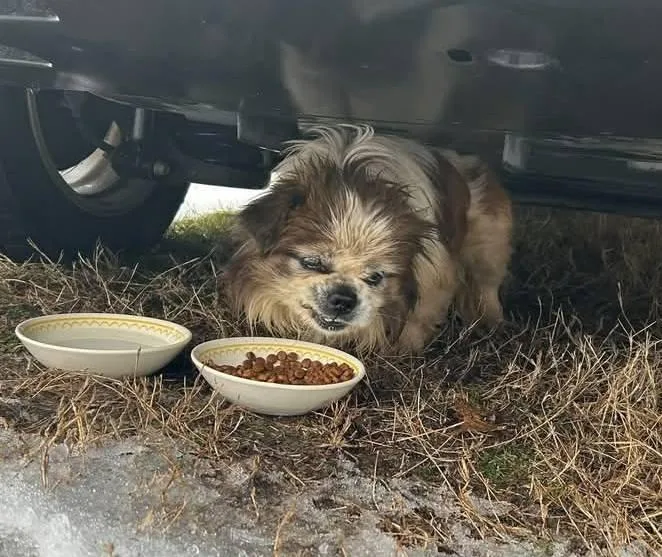 Rory  Super Snuggly! thumbnail 3