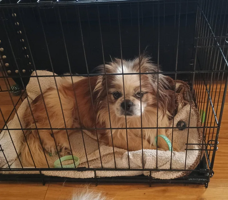 Rory  Super Snuggly! thumbnail 5