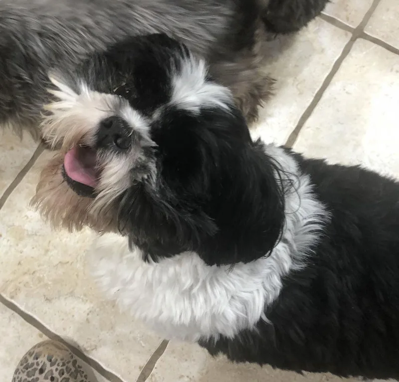 Buddy Hadley thumbnail 2