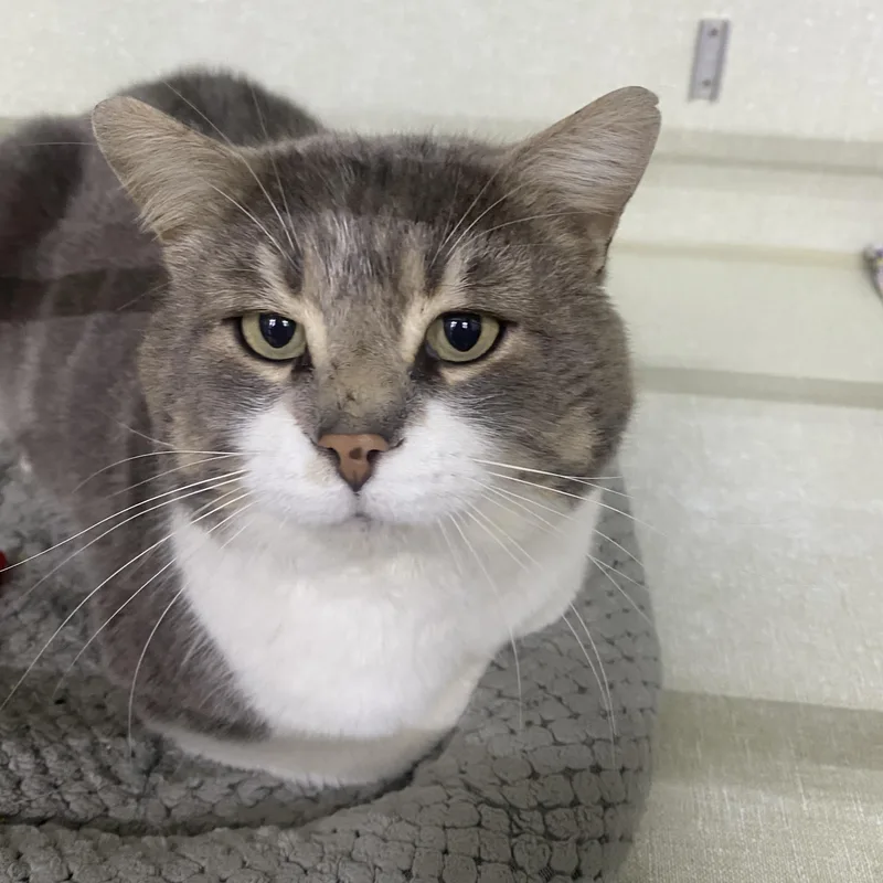 Mr. Rodgers thumbnail 2