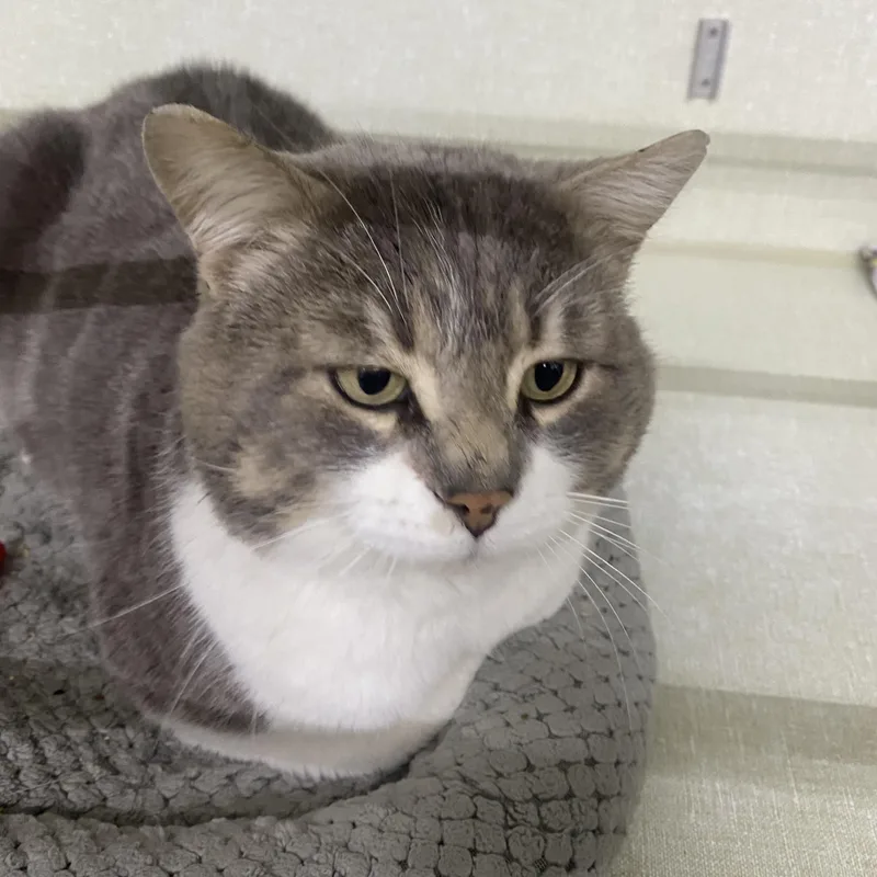 Mr. Rodgers thumbnail 3