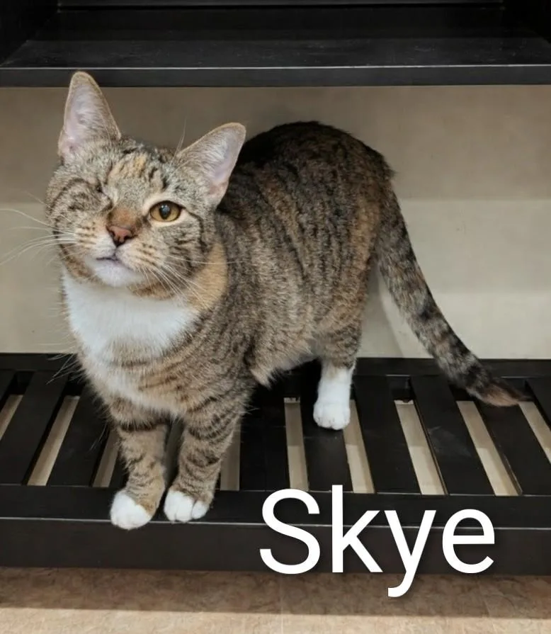 Skye