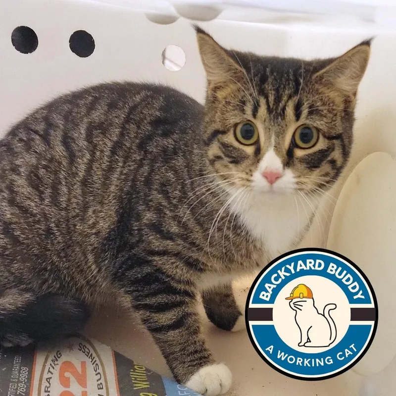 Peanut Butter And Jelly thumbnail 2