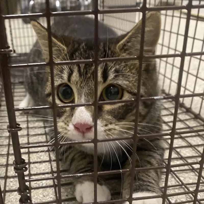 Peanut Butter And Jelly thumbnail 3