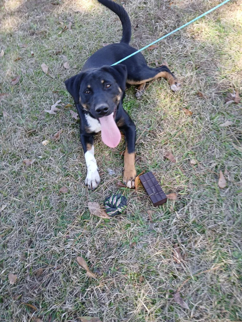 Keno Terrific thumbnail 2