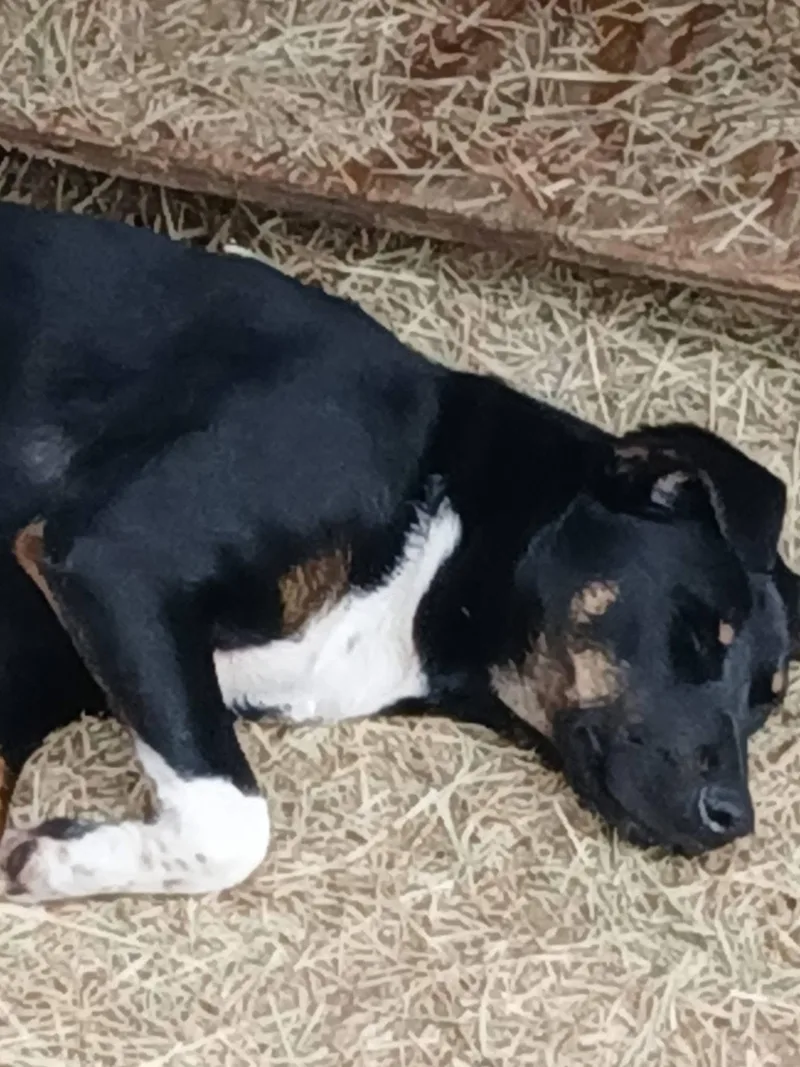 Keno Terrific thumbnail 4