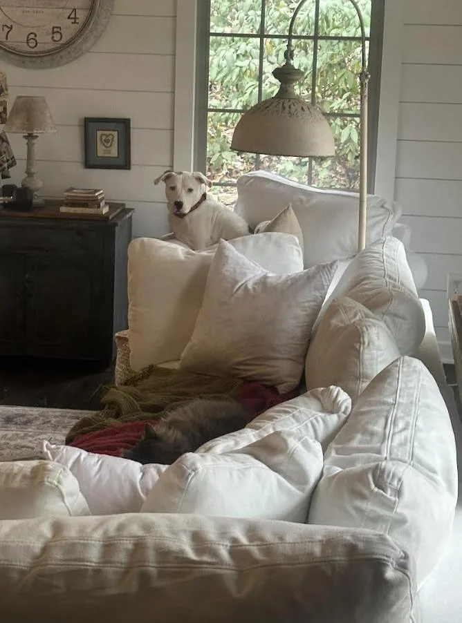 Oliver Diamond thumbnail 2