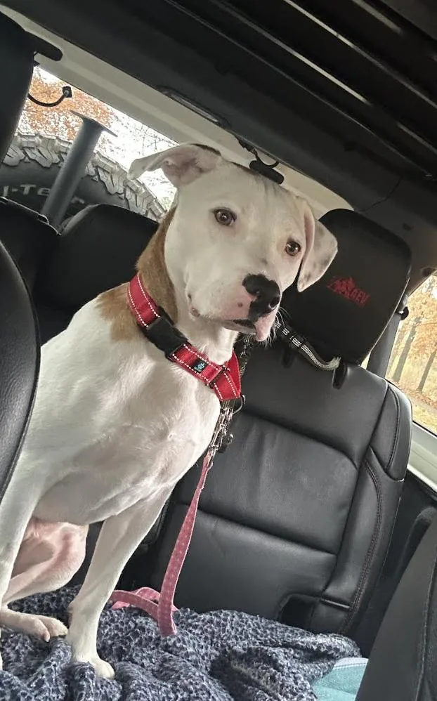 Oliver Diamond thumbnail 3