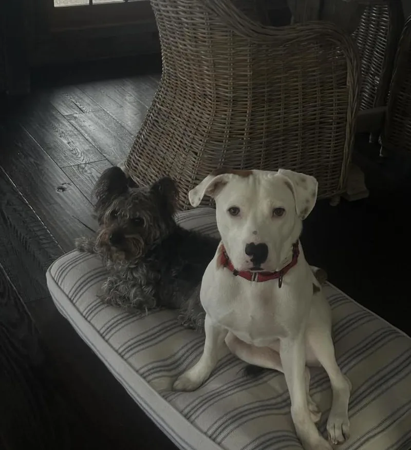 Oliver Diamond thumbnail 5