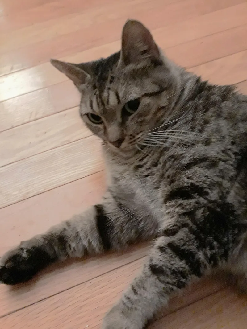 Sinderella thumbnail 6