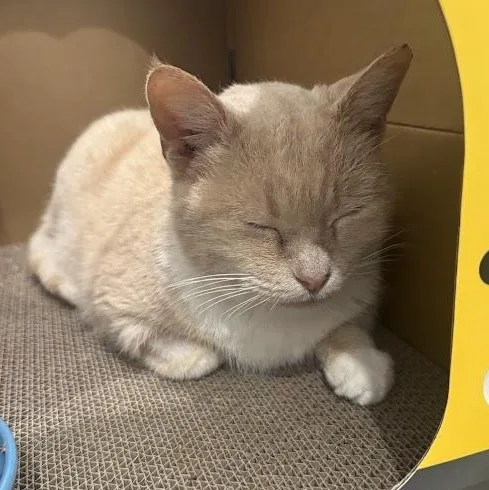 Speckles thumbnail 2