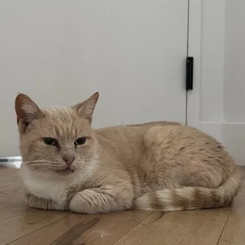 Speckles thumbnail 5