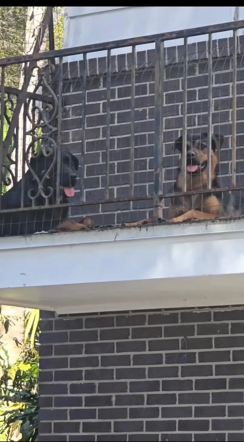 The Balcony Twins