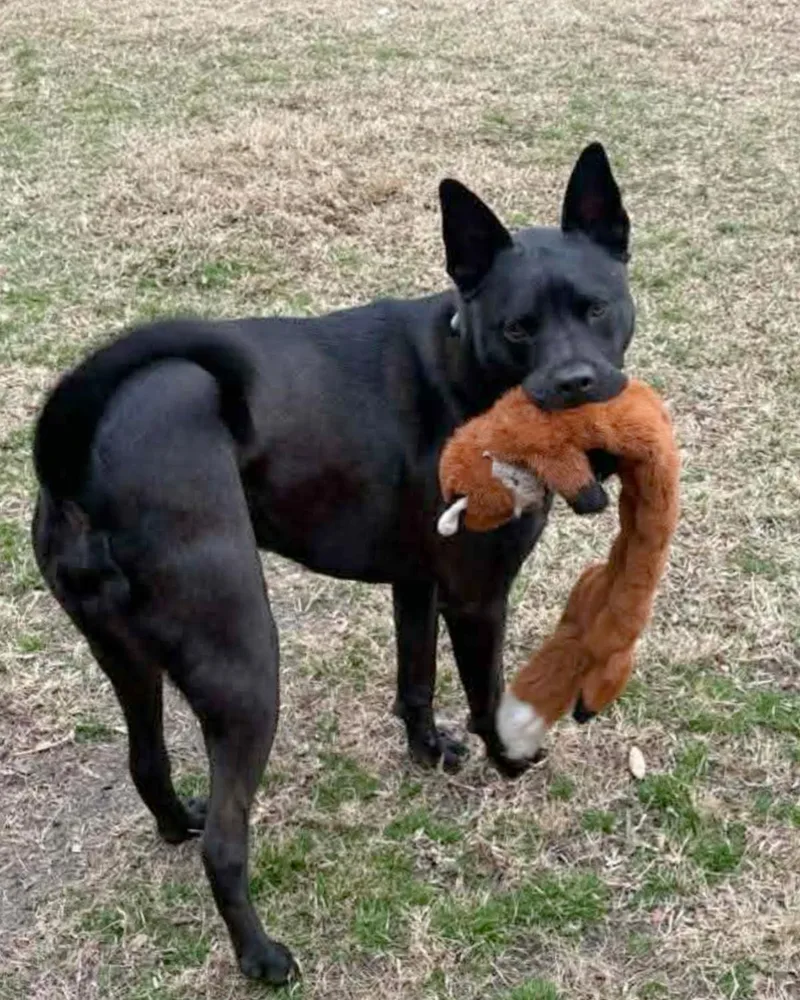 Midnight Courtesy Listingcontact Owner thumbnail 2