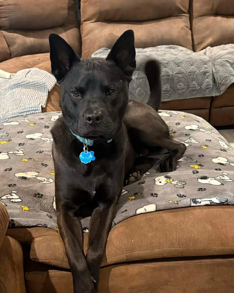 Midnight Courtesy Listingcontact Owner