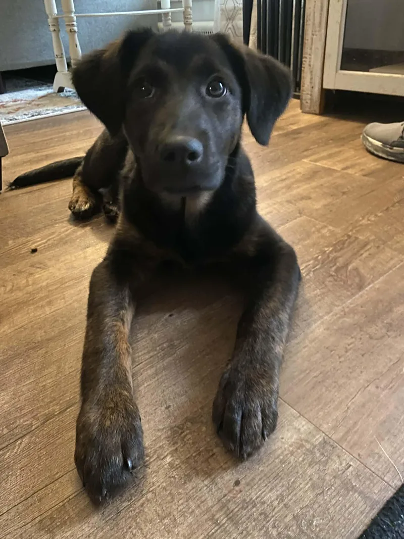 Phyllis & Phoebe thumbnail 3